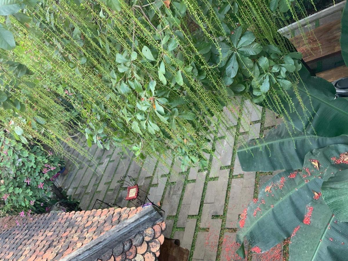 The An Homestay Ho Chi Minh-byen Eksteriør bilde